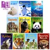 【中商原版】尤斯伯恩初学者系列 动物 10本盒装Usborne Beginners Animals Box Set 10 books英文原版 儿童科普绘本读物 精装 商品缩略图1