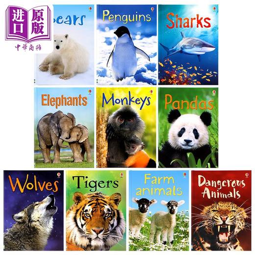 【中商原版】尤斯伯恩初学者系列 动物 10本盒装Usborne Beginners Animals Box Set 10 books英文原版 儿童科普绘本读物 精装 商品图1