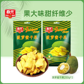 菠萝蜜干250g*2 袋装 松脆可口 休闲零食小吃