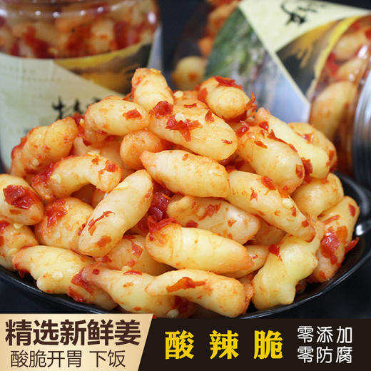 【新鲜嫩姜酸脆，坛子腌制酸爽开胃】酸辣生姜湖南泡姜酸姜酸辣椒鲜嫩姜仔湘西特产腌姜芽四川剁椒子姜 商品图3