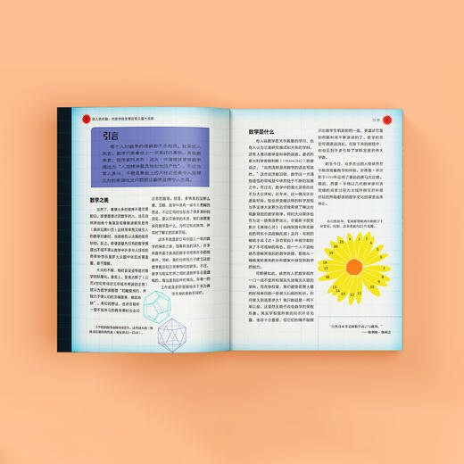 《迷人的代数：代数学的发展历程及重大成就》 商品图5