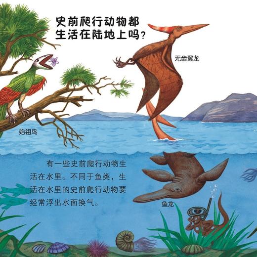 《口袋科学》（全20册） 商品图14