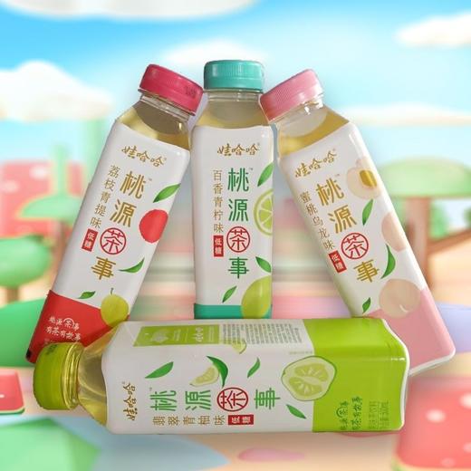 娃哈哈桃源茶事荔枝青提味500ml*15瓶 商品图1