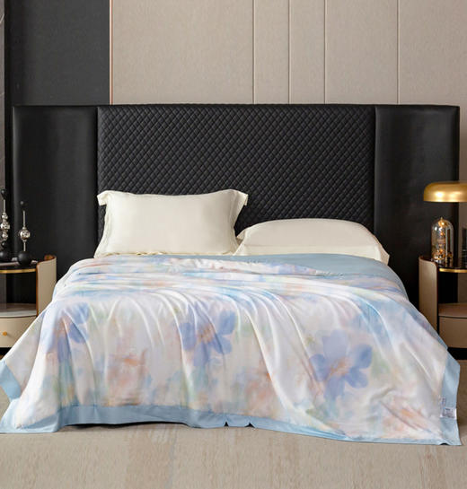 席梦乡60S天丝蚕丝夏被 M300-2402 商品图0