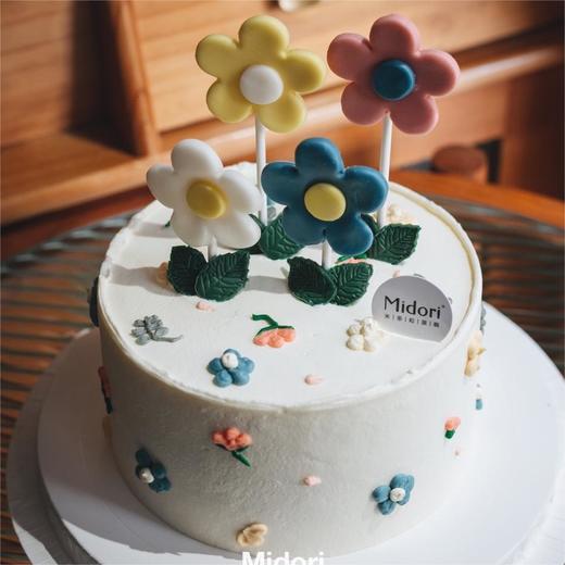 花花世界 | 花朵 简约  植物主题-低糖处理无添加 商品图0