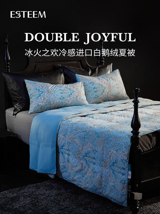 冰火之欢可水洗鹅绒夏被（赠同款冰丝枕套） 商品图0