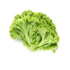 生菜（500g) 商品缩略图0