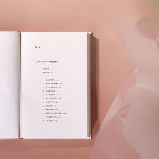 聂鲁达情诗 智利情圣诗人巴勃罗 ·聂鲁达逝世50周年情诗集 黄灿然译作 重现情笺瑰宝 商品图8