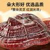 【正宗同仁堂品牌】北京同仁堂灵芝250克  礼盒装 朵大形好 干度合格 品质灵芝SY 商品缩略图3