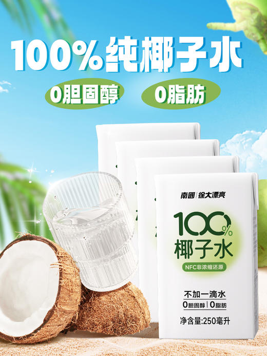 南国椰子水250ml*6 纯椰子水孕妇电解质水海南特产天然饮料 商品图2