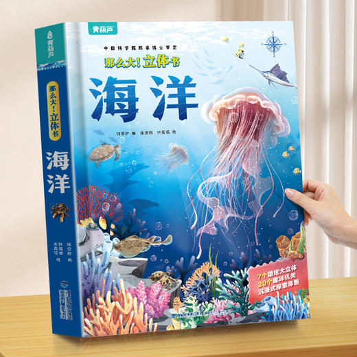 那么大！立体书：海洋 7-10岁 儿童3d立体书 商品图1