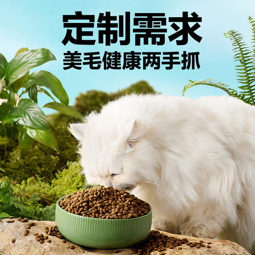 网易严选 海陆三鲜全价猫粮2kg/10kg大包粮 官方正品 营养益生菌护肠胃 商品图3