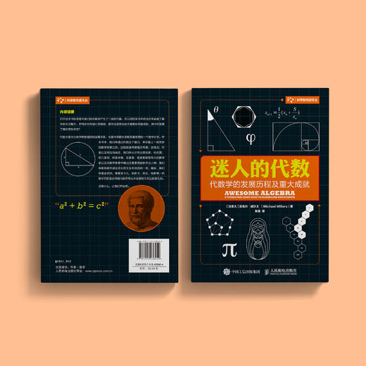 《迷人的代数：代数学的发展历程及重大成就》 商品图11