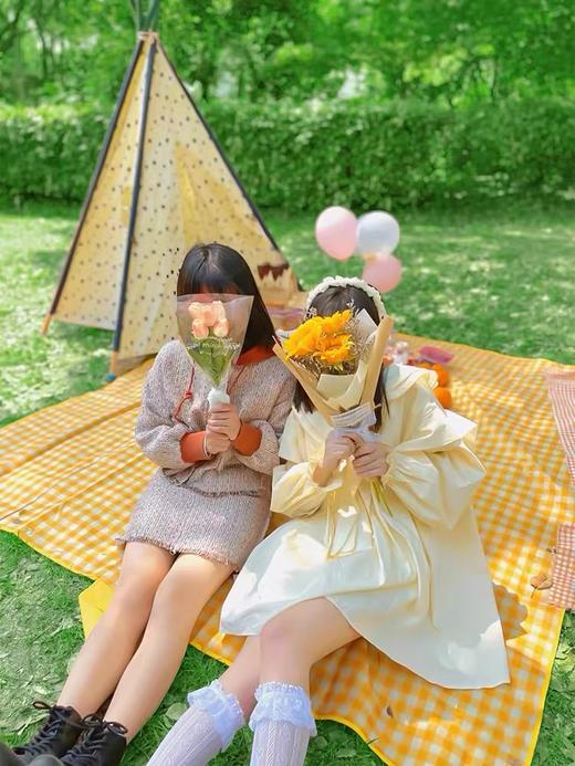 赠品：限定春游野餐垫 支持到店自提/付费快递 商品图1