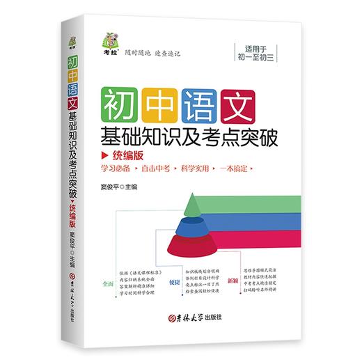 初中语文基础知识及考点突破-新 非塑封 商品图4
