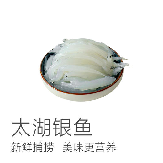 【板娘家乡特色湖鲜 太湖银鱼】0刺高蛋白高营养 100g*6袋 商品图1