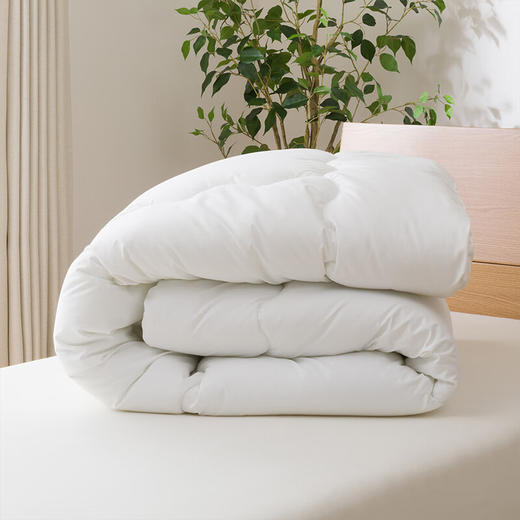 子母被 抗菌款 特大双人 约220*240cm 商品图2