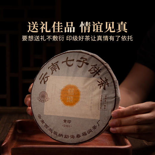 双陈普洱2024年黄印圆茶熟茶云南古树老茶干仓陈化357克/片 商品图4