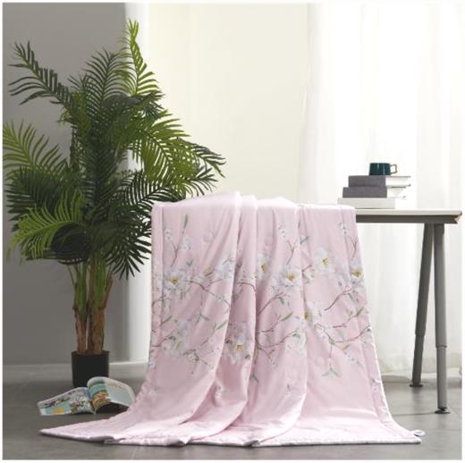 水星家纺 茶醉书香夏凉被 商品图0