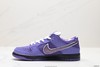 耐克Nike Dunk Low Pro休闲运动板鞋FD8776-800男女鞋 商品缩略图2