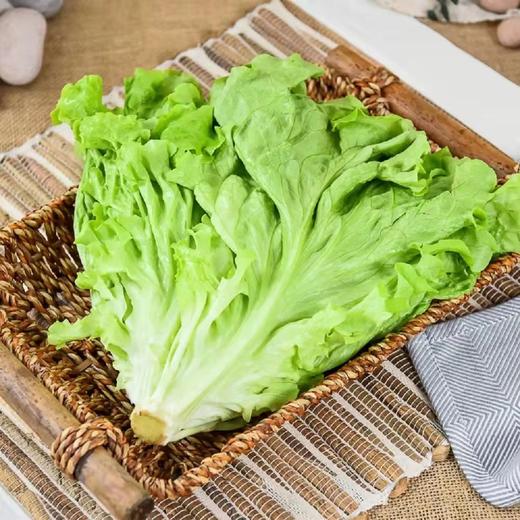 生菜（500g) 商品图1