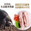 天台山生态散养黑猪肉 商品缩略图0