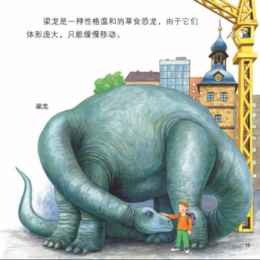 《口袋科学》（全20册） 商品图10