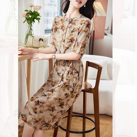 TC29621 双绉重磅真丝连衣裙2024夏新款短袖收腰显瘦桑蚕丝大码女中长裙子