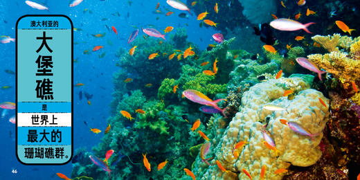 《美国国家地理·世界真奇妙》（全3辑）全30册 商品图14