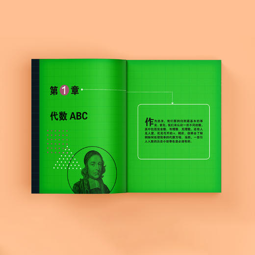 《迷人的代数：代数学的发展历程及重大成就》 商品图8