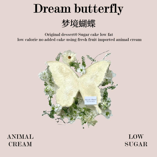 梦境蝴蝶  商品图0