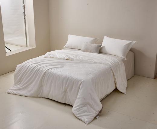 罗莱 粹 全棉提花川山蜀丝桑蚕丝被 商品图1