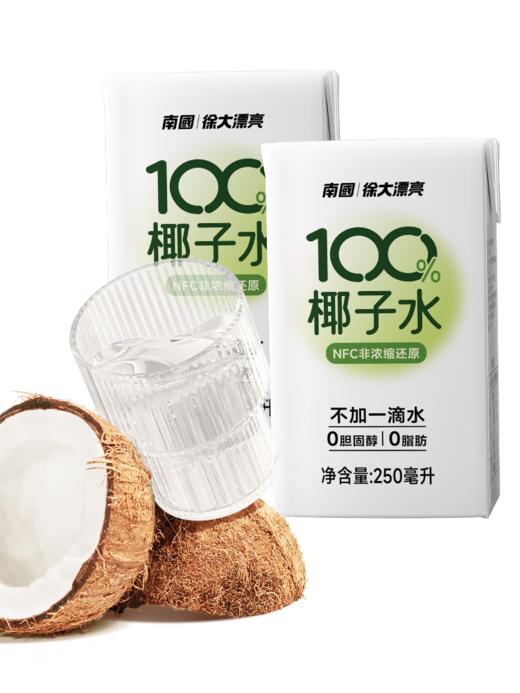 南国椰子水250ml*6 纯椰子水孕妇电解质水海南特产天然饮料 商品图6