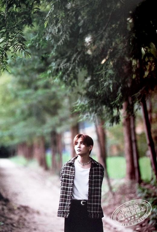 【中商原版】山田凉介写真集 1st solo个人写真集 日文原版 山田涼介写真集 Luminous 商品图7