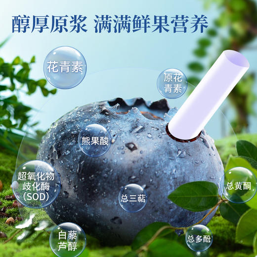 ⁴【大兴安岭野生蓝莓（越橘）原浆】1袋≈60粒新鲜野生蓝莓  30ml*7袋/盒  YC04-CRMM-YKSC 商品图3