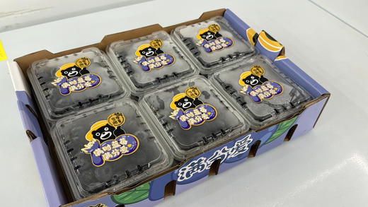 限量版怡颗莓新鲜采摘礼盒蓝莓125g*12盒 商品图11