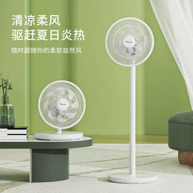 赛亿电风扇/落地扇 台扇/台地扇 家用办公室台立升降式可摇头机械12风叶电风扇【工厂直发、一手货源、新款独家、7天无理由退换】
