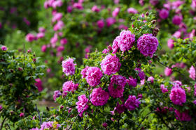  有福利|一键get春游必备零食清单~ 