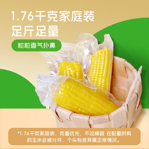 【133项农残检测通过】沙漠有机 金奖玉米 | 有机黄糯玉米 粗粮早餐 家庭量贩装1.76kg (大约8-10根，以重量为准) 商品图2