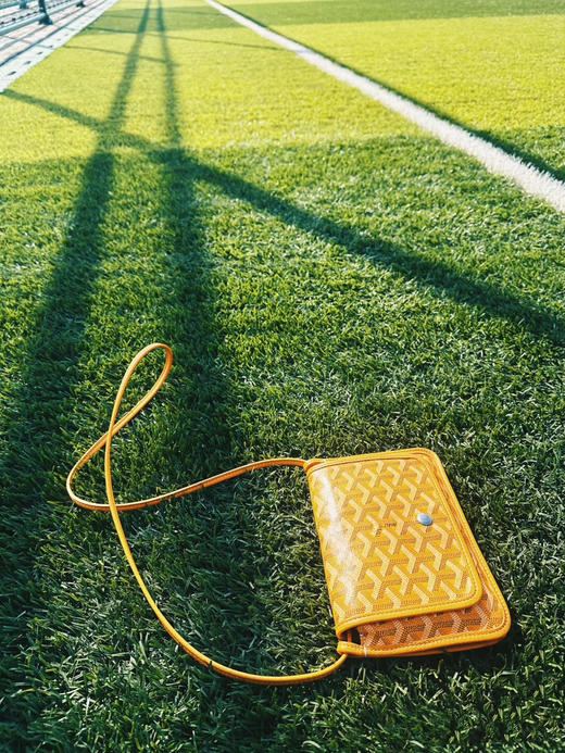 418-6 实用 免带购 狗牙 plumet三层风琴斜挎包 信封包 商品图5