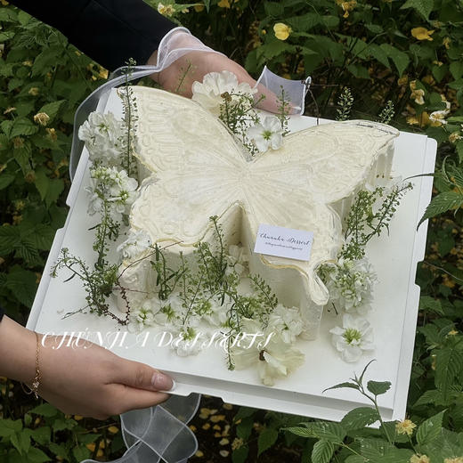 梦境蝴蝶  商品图4