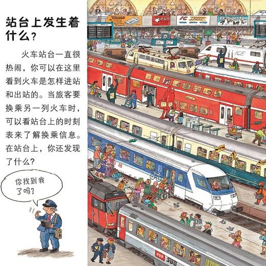 《口袋科学》（全20册） 商品图11