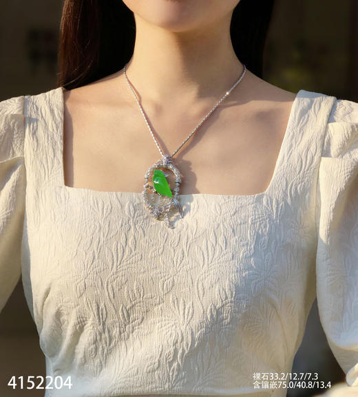 玻璃种木那喜鹊胸针【4152204】具体价格微信咨询 商品图4