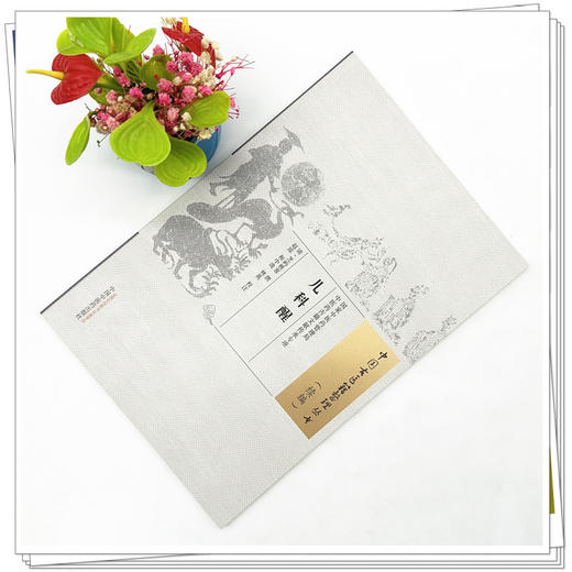 儿科醒（中国古医籍整理丛书.续编）清·芝屿樵客 撰 中国中医药出版社 商品图2