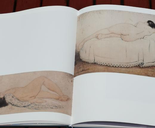 《玉汝于成：潘玉良的艺术人生》，精装，8开，成都博物馆编，四川美术出版社2021年一版一印，雅昌精印，定价298，售价288元。 商品图8