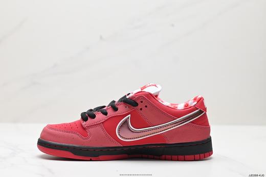 耐克Nike Dunk Low Pro休闲运动板鞋FD8776-800男女鞋 商品图2