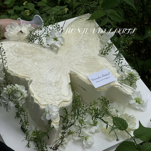 梦境蝴蝶  商品图5