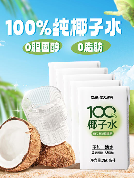 南国椰子水250ml*6 纯椰子水孕妇电解质水海南特产天然饮料 商品图3