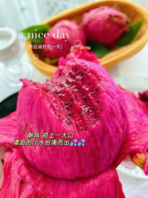 海南高糖金都一号蜜宝火龙果，全程有机种植，甜度高，并带有淡淡玫瑰香味，花青素含量高，好吃美味更健康😋 商品图0
