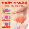 【官方正品】云南白药泰邦痛经暖贴暖身贴暖宝宝女生用大姨妈热敷宫暖经期缓解神器 商品缩略图1